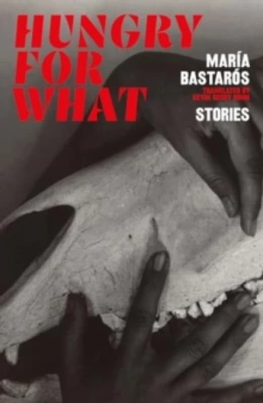 hungry for what : stories Paperback / softback