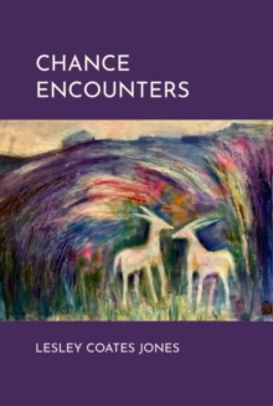 Chance Encounters Hardback