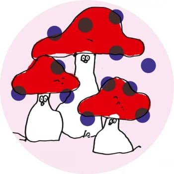 Freestyle Man Featuring Jimi Tenor - Schrodinger’s Love Vinyl