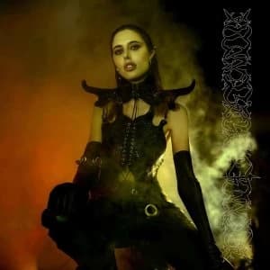 Ptwiggs - Darkening Of Light Vinyl