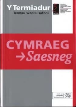 Termiadur Y by Delyth Prys Paperback