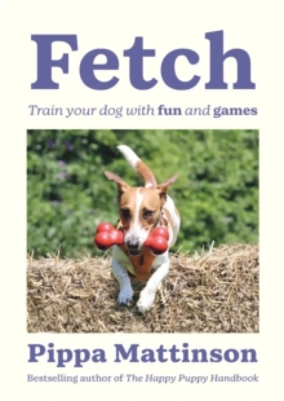 Fetch : Train your Dog with Fun and Games Paperback / softback