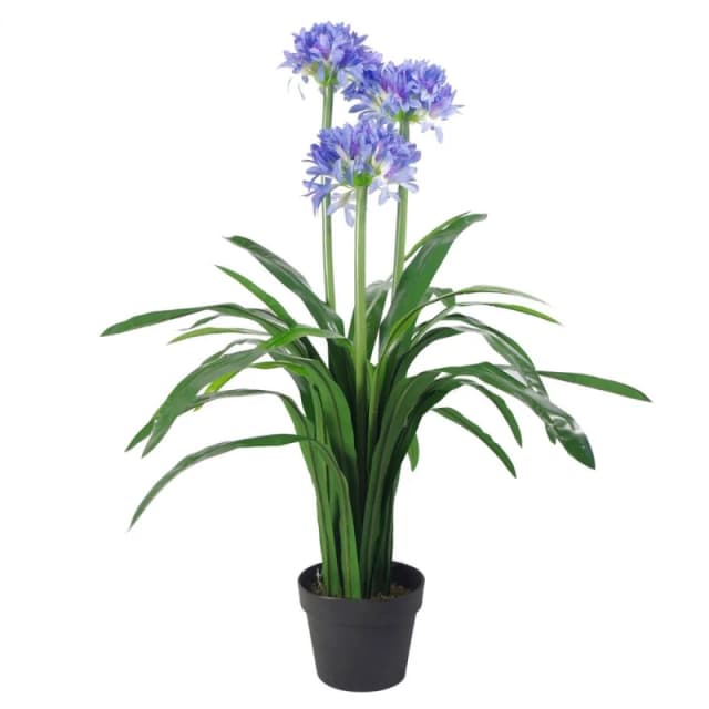 Leaf Premium Artificial Agapanthus - 90cm Blue Flower with Pot
