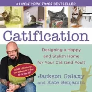 catification designing a happy and stylish home for your cat