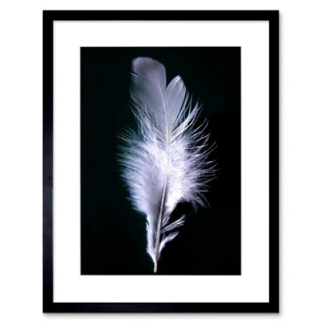 Artery8 Photo Modern Black White Feather Bird 12X16" Framed Wall Art Print