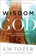 wisdom of god letting his truth and goodness direct your steps