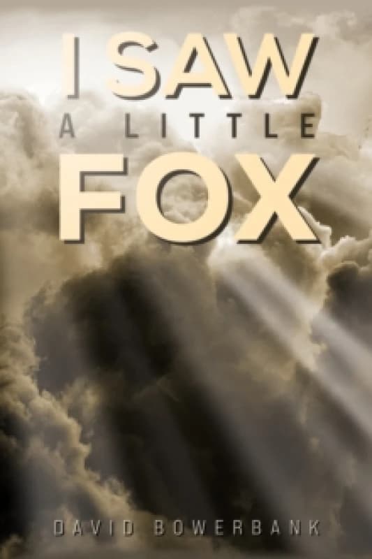 I Saw a Little Fox. Paperback. By David Bowerbank Books