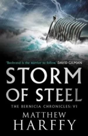 Storm of steel by Matthew Harffy