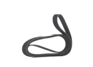 RIDEX V-ribbed belt 305P0108 Serpentine belt,Auxiliary belt MERCEDES-BENZ,HYUNDAI,KIA,G-Klasse SUV (W463),H-1 Travel (TQ),H-1 Cargo (TQ),H350 Kasten