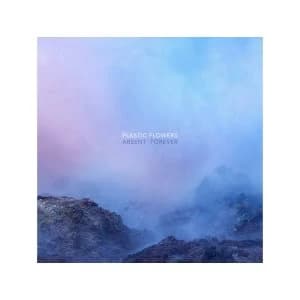 Plastic Flowers - Absent Forever Vinyl