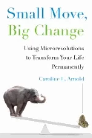small move big change using microresolutions to transform your life permane