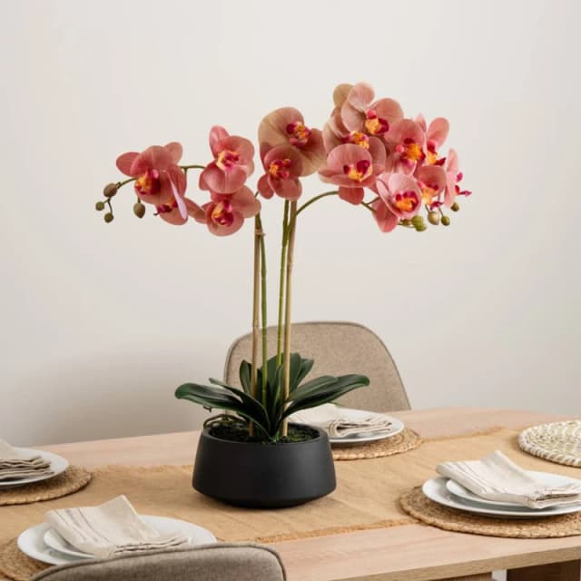 Scottish Everlastings Ltd 65cm Real Touch Phalaenopsis Orchid in Black Pot in Pink Pink Unisex