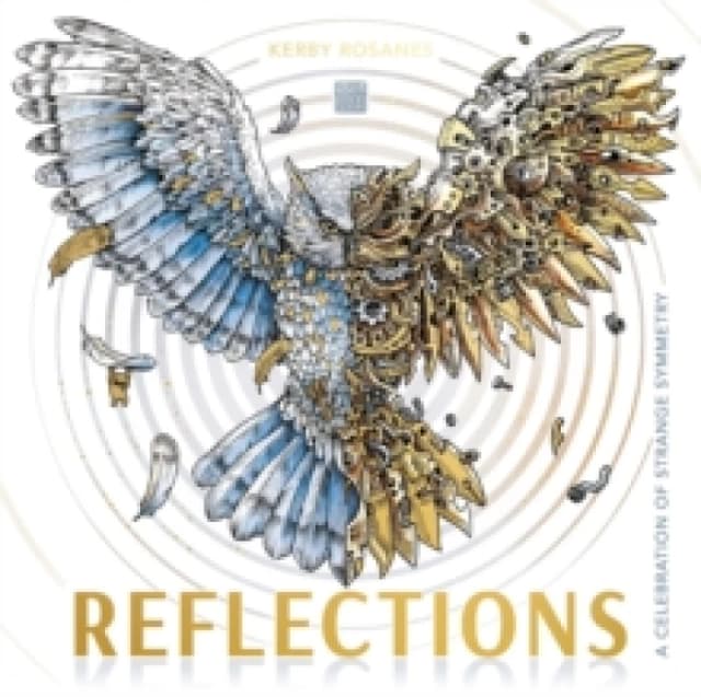 Reflections : A Celebration of Strange Symmetry Paperback / softback