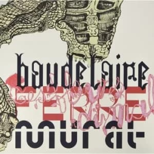 Jean-Louis Murat – Charles Et Leo Les Fleurs Du Mal Vinyl