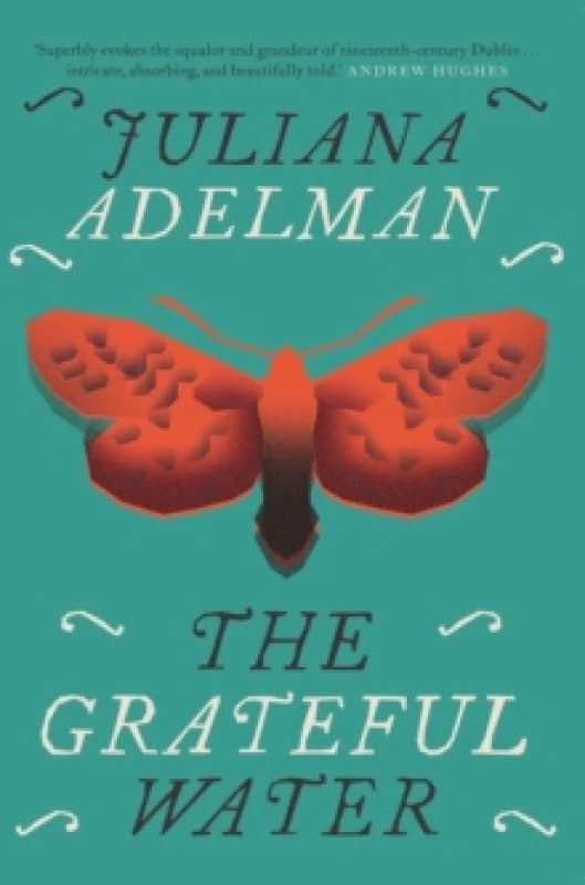 The Grateful Water Paperback / softback
