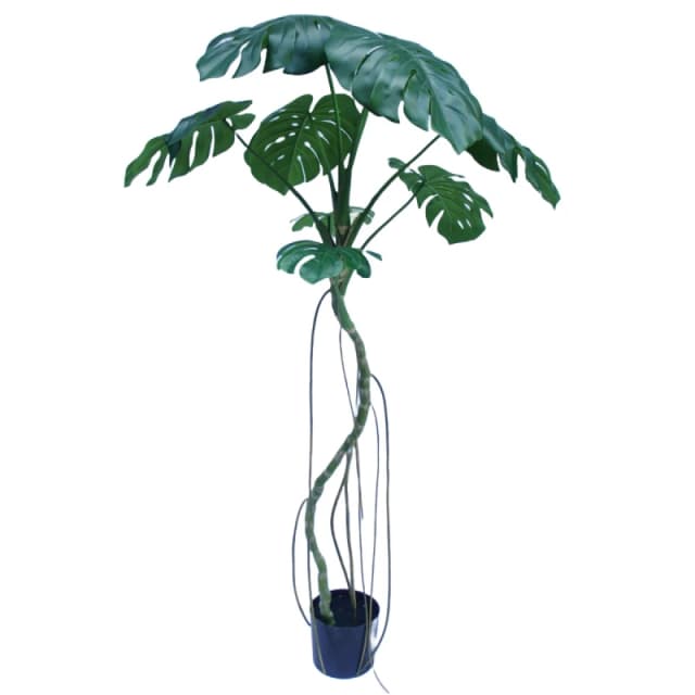 N/A 180cm Monstera Realistic Artificial Tree Green