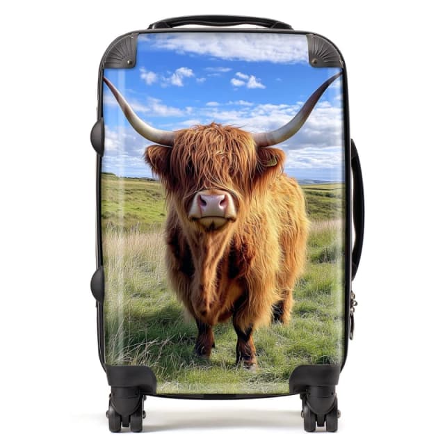 Warren Reed - Designer Highland Cow In Summer Suitcase Size: Cabin Multicolor Unisex Cabin