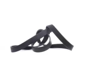 RIDEX V-ribbed belt 305P0289 Serpentine belt,Auxiliary belt VW,AUDI,FORD,Golf IV Schragheck (1J1)