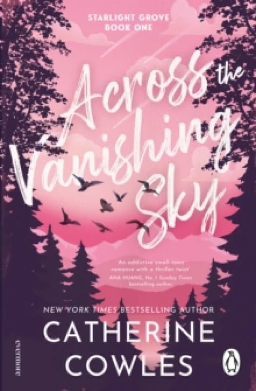 Across the Vanishing Sky Paperback / softback