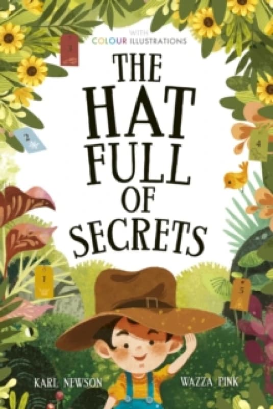 The Hat Full of Secrets Paperback / softback