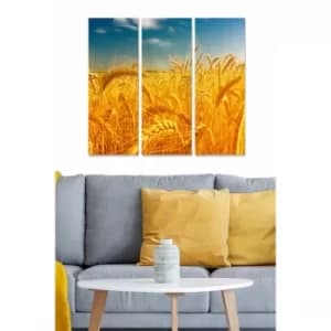 MDF96723499 Multicolor Decorative MDF Painting (3 Pieces)