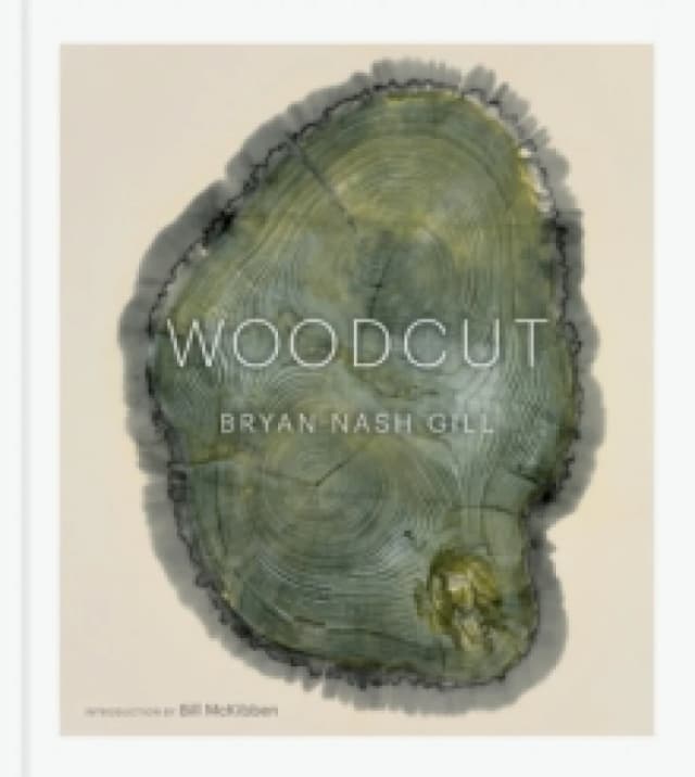 Woodcut : (Updated Edition) Hardback