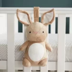 Ickle Bubba Bunnychino Sleep Aid Plush Toy Brown