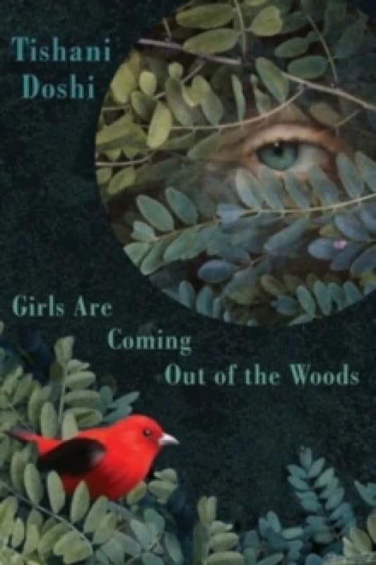 Girls Are Coming Out of the Woods Paperback / softback