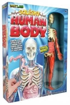 Smartlab Squishy Human Body.