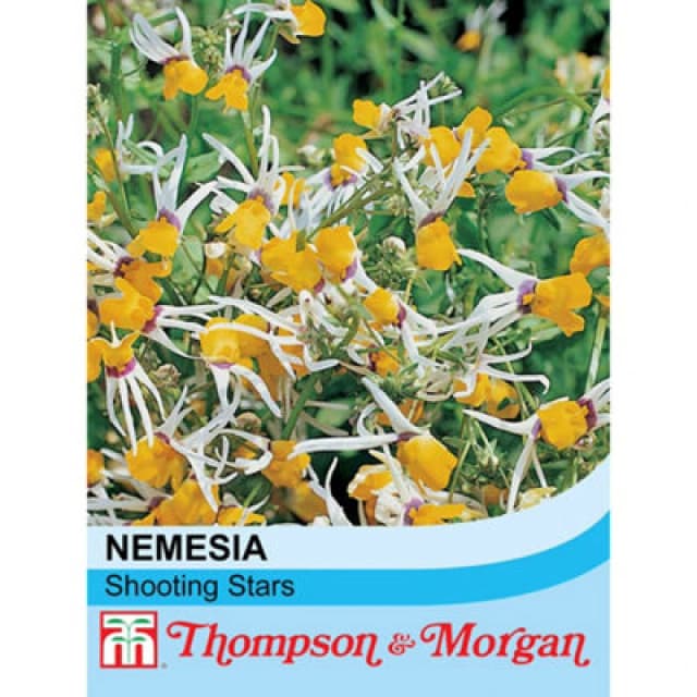 Thompson & Morgan Nemesia Cheiranthus Shooting Stars 1 Packet (80 Seeds)