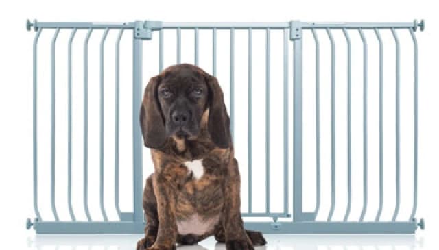 Bettacare Elite Pressure Dog Gate, 152Cm - 161Cm, Matt Grey, Pressure Fit Pet Gate For Dog And Puppy