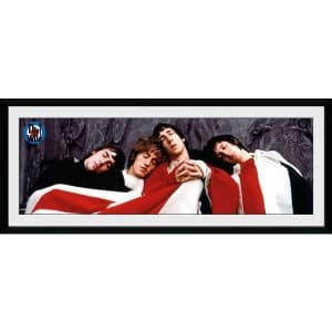 The Who The Kids Are Alright 30 x 75 Collector Print