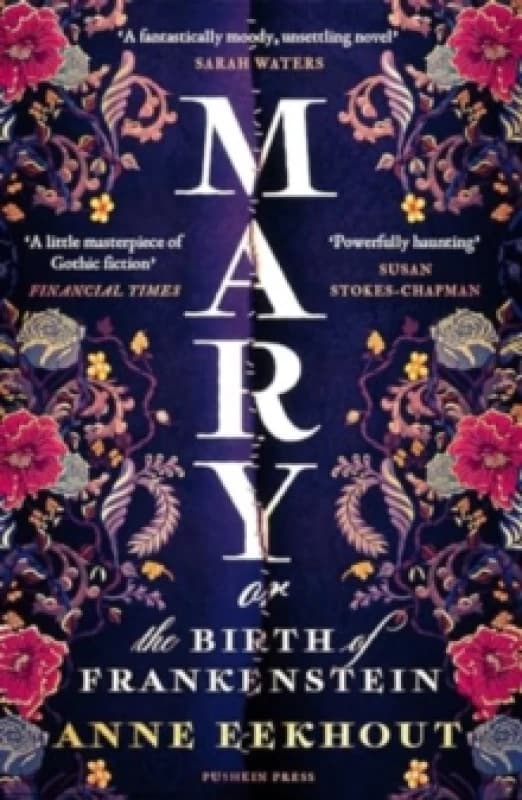 Mary : or, the Birth of Frankenstein Paperback / softback