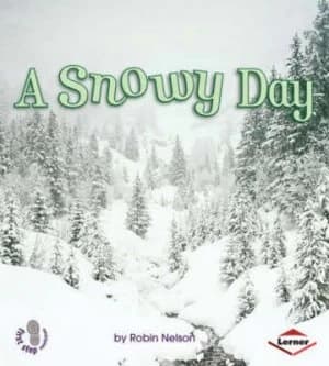 A Snowy Day Paperback