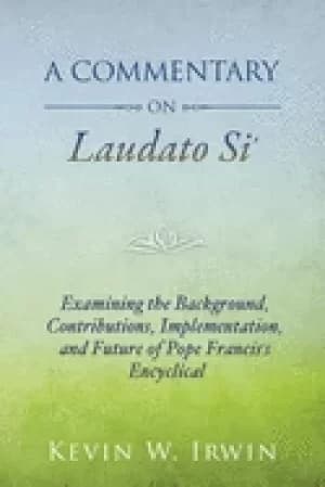 commentary on laudato si examining the background contributions implementat