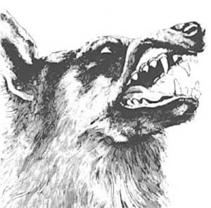 I Vigilante by Crippled Black Phoenix CD Album