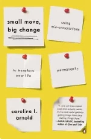 small move big change using microresolutions to transform your life perman