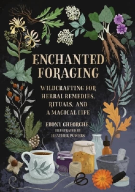 Enchanted Foraging. Hardback. By Ebony Gheorghe Books