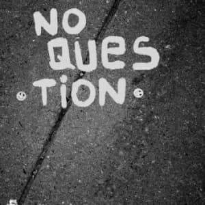S/T by No Question Vinyl Album