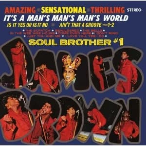 James Brown - ItS A ManS ManS World Vinyl