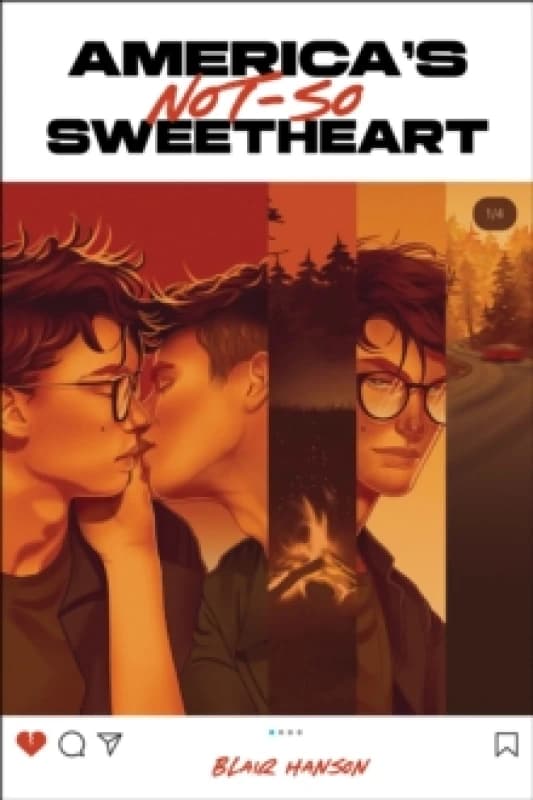 America's Not-So-Sweetheart Hardback