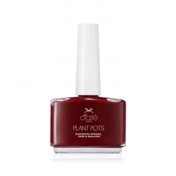 Plant Pots - Dangerous Affair