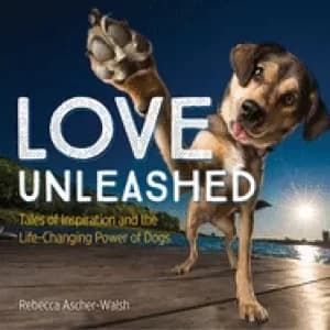 love unleashed tales of inspiration and the life changing power of dogs