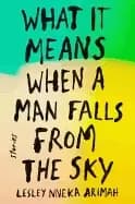 what it means when a man falls from the sky stories