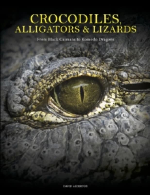 Crocodiles, Alligators & Lizards : From Black Caimans to Komodo Dragons Hardback