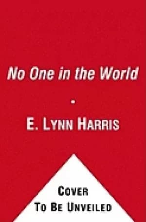 no one in the world a novel