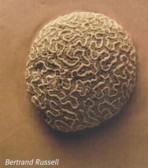 The Problems of Philosophy by Bertrand Russell Paperback