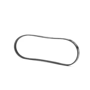 RIDEX V-ribbed belt AUDI,BMW,OPEL 305P0017 60543218,034903137B,053903137A AHU2174,GFB80890,GMB40890,11281437875,11281739470,11281743193,11287786705
