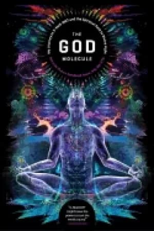 god molecule 50 meo dmt and the spiritual path to divine light