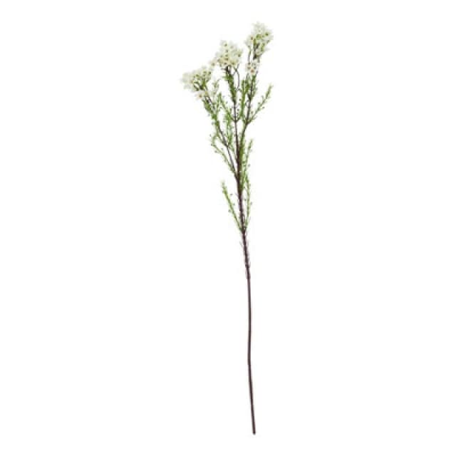 Hill Interiors The Natural Garden Collection Waxflower Artificial Flower White/green (One Size)